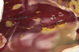 Polished Mookaite Jasper Slab - Australia #234816-1